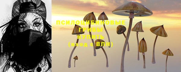 синтетический гашиш Богданович