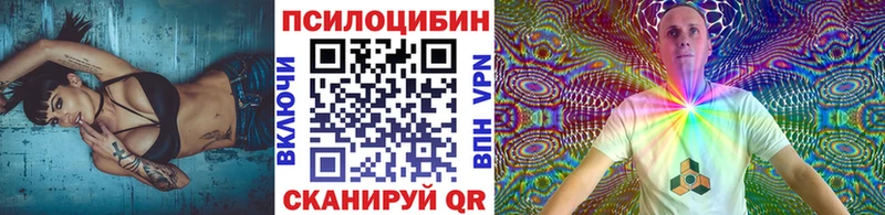 наркошоп  Йошкар-Ола  Псилоцибиновые грибы Cubensis 